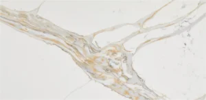 Композит кварца Avant Quartz в бежевом оттенке с глянцевым покрытием