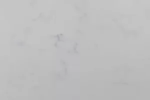 Композит кварца Oceanid пыльно-серого оттенка